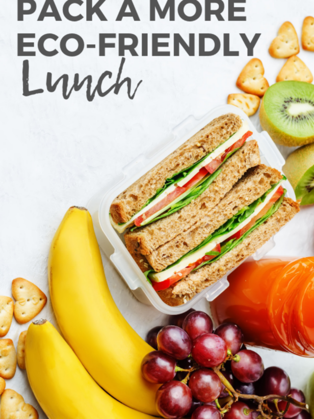 6 Ways to Pack a More Eco-Friendly Lunch Story